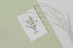 Dried Flower Card