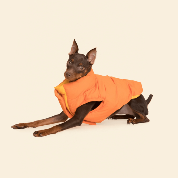 The Super Duper Reversible Parka Vest - Orange