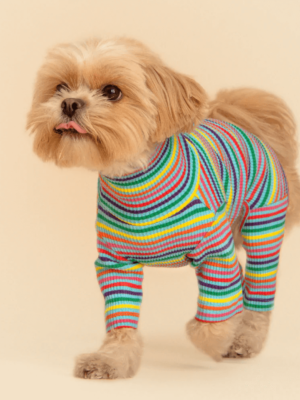 product_pet_clothes_14a