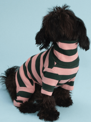 product_pet_clothes_3a