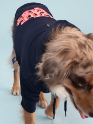 product_pet_clothes_5a