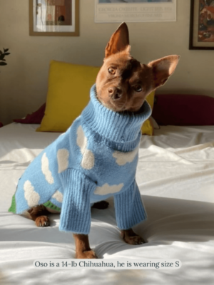 product_pet_clothes_7c